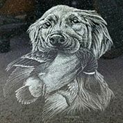 Pet Gravestones Wisconsin