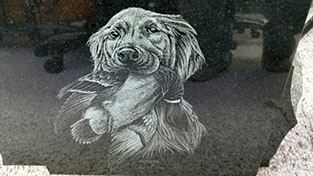 Hand Etched Dog Memorial in Wisconsin